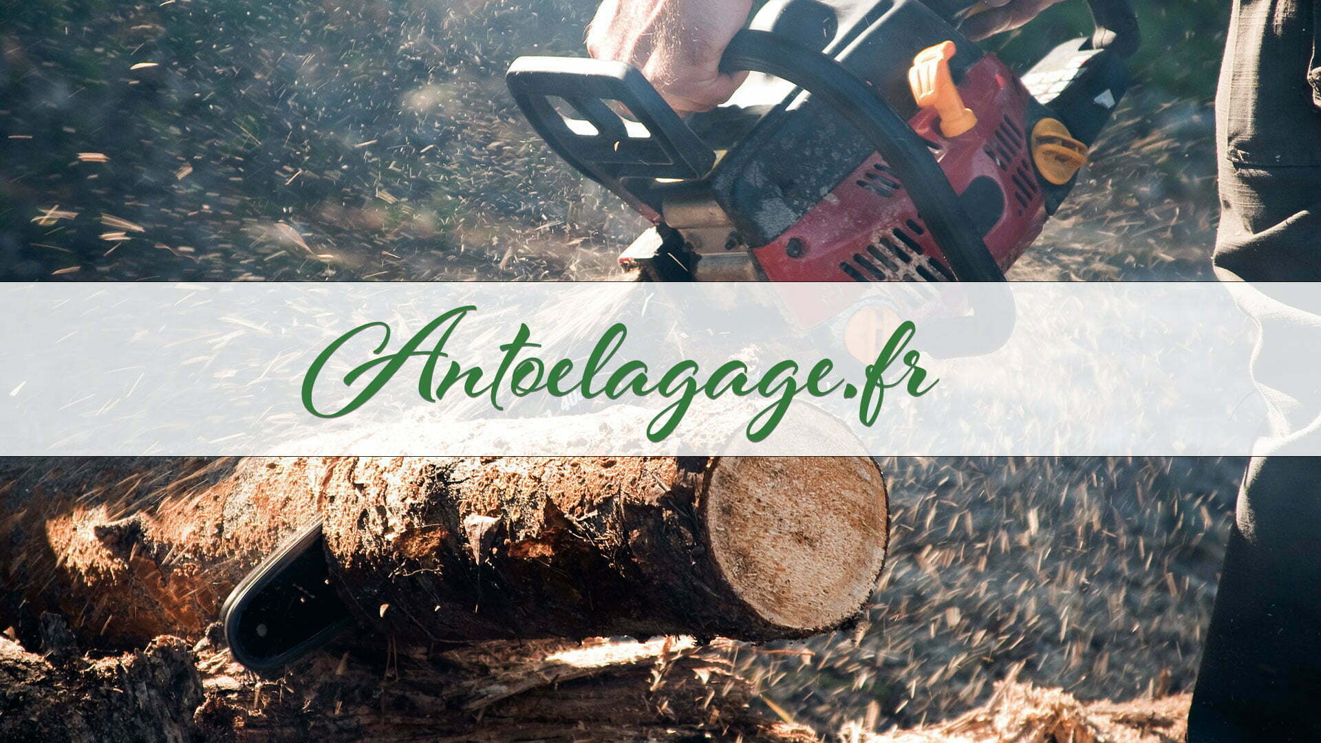 Abattage d’arbre Mérignac 33700