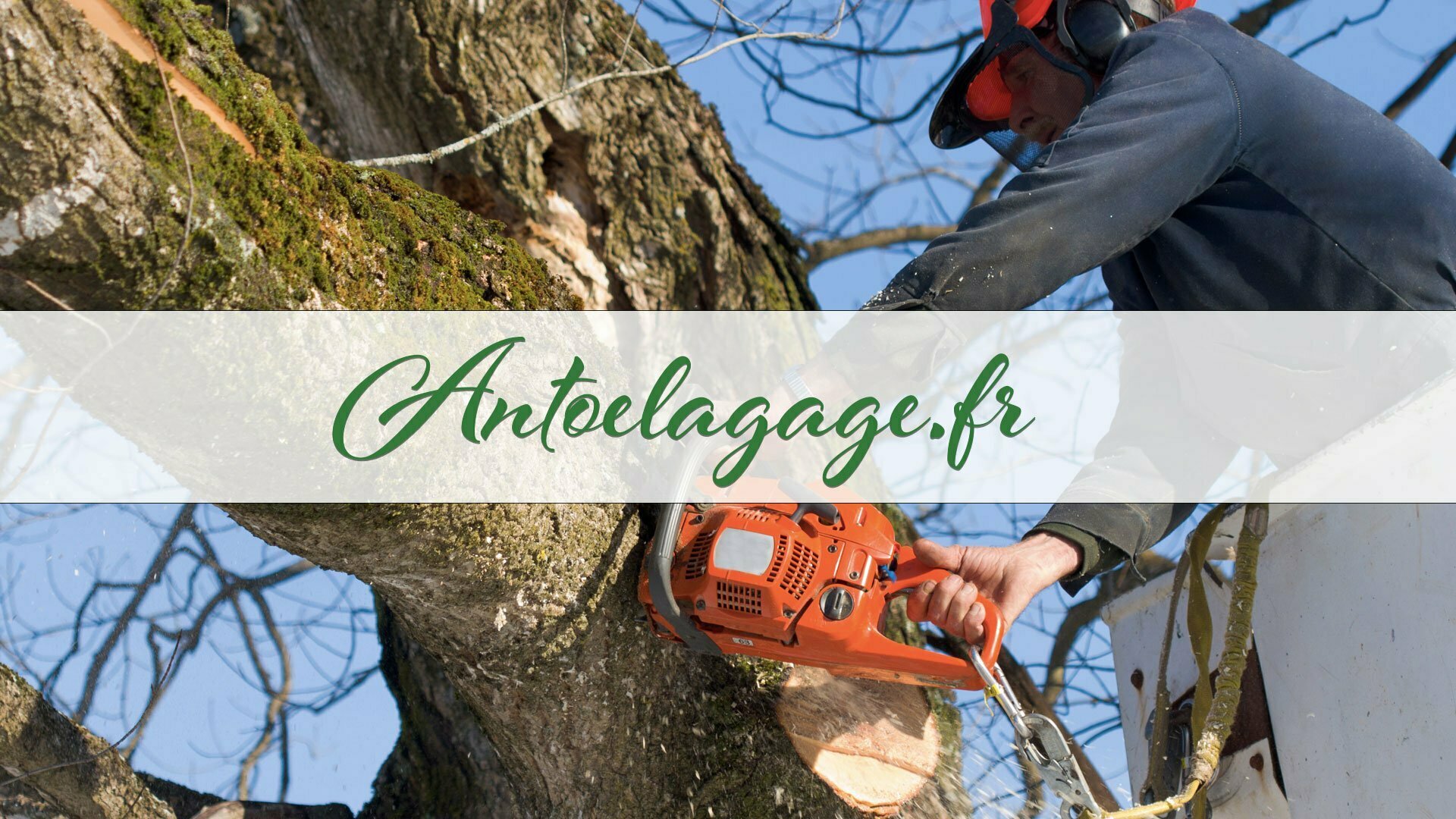 Devis élagage Mérignac 33700